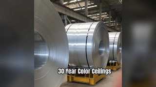 Langlebige Deckenplatten aus Aluminium mit 30-jähriger Farbgarantie