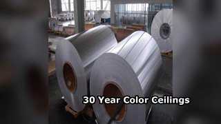 Langlebige Deckenplatten aus Aluminium mit 30-jähriger Farbgarantie